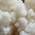 Melkkefir Melkkefirkorrels