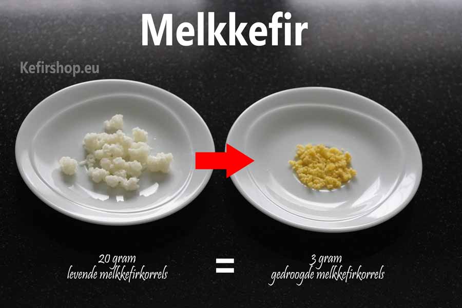 melkkefir en waterkefir