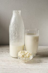 milk kefir grains